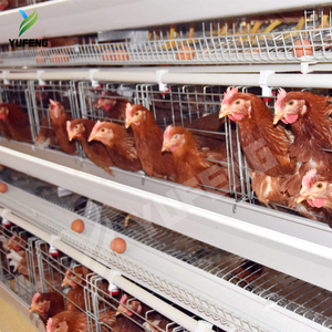 Vente flash, nouveau modèle de cages à poules en acier de type H, automatiques, durables, motorisées, 8 niveaux, pour la production d'œufs, avec 2 ans de garantie - Product Image 2