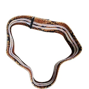 Snake Print Loops Custom Gripper Elastic Resistance Glute Hip Circle Fitness <b>Legs</b> Workout Booty Bands - Product Image 3