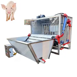 豚の毛を取り除くための機械豚の食肉処理場25豚の毛を取り除く機械