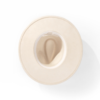 Vente en gros OEM, nouveauté, chapeau en feutre à large bord avec bande perlée, chapeau Fedora en daim pour hommes et femmes, chapeaux Panama classiques