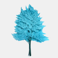 Fougère Arachniodes du Yunnan stabilisée, frondes de fougère séchées, préservées aux conservateurs chimiques longue durée pour la décoration intérieure et les arrangements de Noël