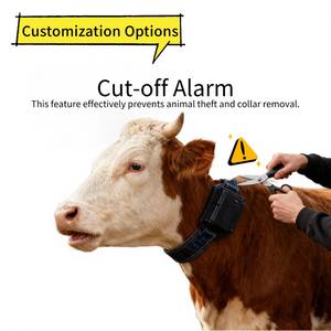 पशुधन आभासी भू-बाड़ लगाने वाली आवाज मवेशी शॉक कॉलर लोरा 4 जी बीडू वाई-फाई एगप्स जीपीएस पशु ट्रैकिंग कॉलर - Product Image 6