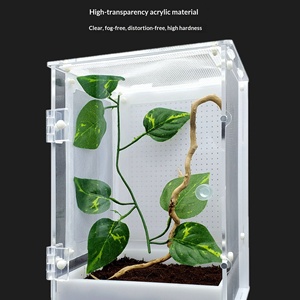 Cage d'élevage rectangulaire à double porte à attraction magnétique pour insectes vivants, reptiles, insectes chanteurs et insectes sauteurs, petite et grande taille - Product Image 2