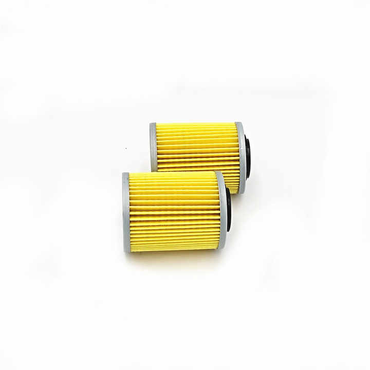 800 1000 Oil Filter 420256188 for BRP Renegade Outlander Maverick  