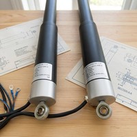 Actionneur linéaire électrique DC24V, moteur linéaire à balais DC, course de 350 mm, charge de 1000 N pour plateforme élévatrice, aimant permanent tubulaire
