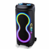 CSN-S1210 Enceinte d'extérieur avec lumières LED RGB, alimentée par batterie, boîtier en plastique