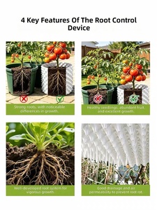 Dispositivo Especializado para el Control de Raíces en la Plantación de Árboles - Placa de Contención para Árboles <span class=keywords><strong>Frutales</strong></span> - Drenaje para <span class=keywords><strong>Bonsáis</strong></span> - 800 Gramos - Product Image 4