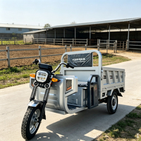 Tricycle utilitaire électrique pliable à trois roues avec cabine et benne basculante pour l'agriculture, capacité 500 kg, OEM