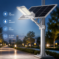 Lampadaire solaire LED pour jardin, unité d'éclairage extérieur, avec batterie intégrée