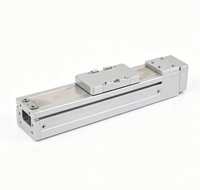 Module linéaire de haute précision, course de 650 mm, vis à billes G12, actuateur linéaire ±0,03 mm pour équipement de découpe laser semi-conducteur