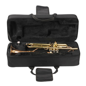 Imperméable à l'eau Meilleure Qualité Étui Clarinette Portatif de Tissu D'oxford Saxophone Sac Prix de Gros - Product Image 5