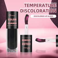 Vente en gros de gloss à lèvres changeant de couleur noir vers rose, 4,5 g, non-collant, pour le maquillage quotidien des lèvres
