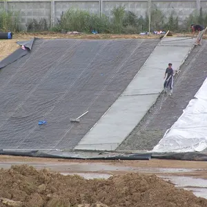 סין מפעל סיטונאי פלסטיק PP ארוג Geotextile עבור PP ארוג תיק