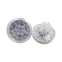 Lumière à cabochon programmable automatique RGB 24 LED AC110v/220v, 60 mm, points lumineux pour manèges de parc d'attractions, grande roue
