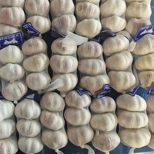 Çin tedarikçisi saf Normal taze beyaz sarımsak toptan fiyat sunuyor çin'den Ajo frafrais ihraç - Product Image 1