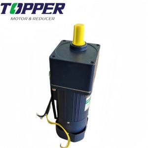 Một pha Micro AC Gear Motor kèm theo hộp số bảo vệ điều khiển tốc độ 6W-400W 380V 60Hz tần số cho Máy bơm 3K-200k - Product Image 5