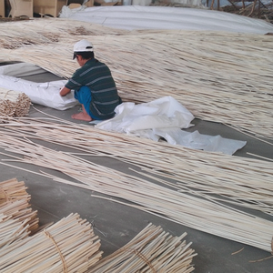 CANES EN ROTIN NATUREL POLES EN ROTIN ROTIN TOUTES TAILLES POUR LA FABRICATION DE MEUBLES AKINA - Product Image 1