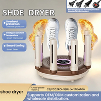 Séchoir à chaussures électrique portable, désodorisant pour baskets, bottes et chaussures humides