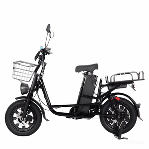 Vélo de livraison électrique à double suspension et freinage avec pneus de 16 x 3 pouces, moteur et capacité de la batterie personnalisables - Product Image 1