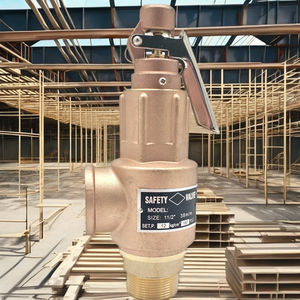 S10l Brons Handmatige Veiligheidsklep Voor Schroefluchtcompressor 1/2 "3/4" 1 "Drukverlichting Voor Gaswateroliemedia Bij 5bar/8bar/10bar - Product Image 3