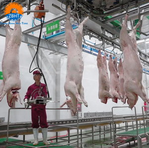 Máquina para Sacrificio de Cerdos ZBHT a Buen Precio, Equipo para Mataderos Pequeños, para Línea de Producción de Carne de Cerdo y <span class=keywords><strong>Carnicería</strong></span> - Product Image 1
