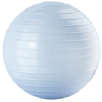 Ballon de Pilates en PVC personnalisé avec logo pour entraînement à domicile, fitness, musculation, yoga, thérapie physique