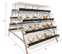 Jaula para Gallinas Ponedoras de Alta Resistencia con Capacidad para 90, 96, 120, 128 y 160 Aves