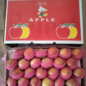 Venta al por mayor estilo almacenamiento embalaje frutas manzanas en frutas fruta fresca manzana