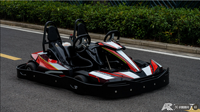 Kart de course tout-terrain à essence pour adultes, deux places, moteur GX160/GX200/GX270, 200cc, 4 temps, vitesse maximale de 60 km/h, transmission par chaîne