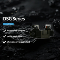 Widely Used DSG 01,02,03 Hydraulic Valve for Metallurgical Equipment Injection Molding Machines