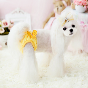 Culotte nouveau short physiologique pour <span class=keywords><strong>chien</strong></span>, petite culotte en silicone lavable, sous-vêtement menstruel, <span class=keywords><strong>couche</strong></span>-culotte pour chiots - Product Image 5