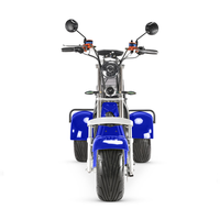 Trike Listrik Citycoco 1000W Berdaya Tinggi untuk Dewasa, Skuter Listrik 3 Roda dengan Baterai Lepas Pasang & Ban Lebar