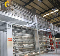 Cage à poules pondeuses de type H à prix d'usine, capacité 500 poulets, cage de batterie pour ferme avicole, état neuf, acier galvanisé, garantie 1 an