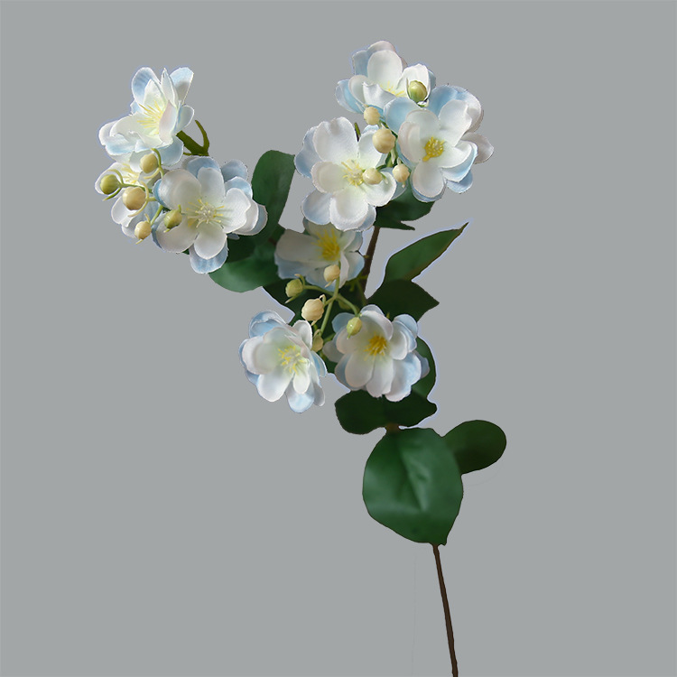 Bianco blu