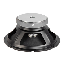 Haut-parleur de graves de 12 pouces 600W haute puissance avec panier en fonte et aimant en ferrite de 60oz pour des basses profondes