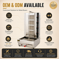 Machine à shawarma au gaz commerciale, rôtissoire verticale pour poulet, équipement de grillade pour kebab, doner, barbecue, restaurant de restauration rapide