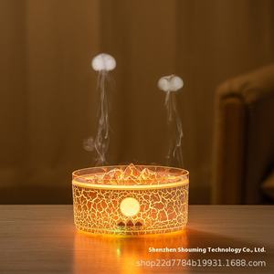 Nouveau humidificateur d'aromathérapie volcanique à double pulvérisation flamme veilleuse ornements sans fil télécommande produit en plastique domestique - Product Image 2