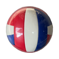 Meilleur vendeur Ballon de volley-ball laminé pour les cours de gym et les matchs entre amis