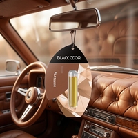 Désodorisant de voiture en forme de feuille, carte parfumée à suspendre aux huiles essentielles, parfum naturel longue durée pour éliminer les odeurs de voiture
