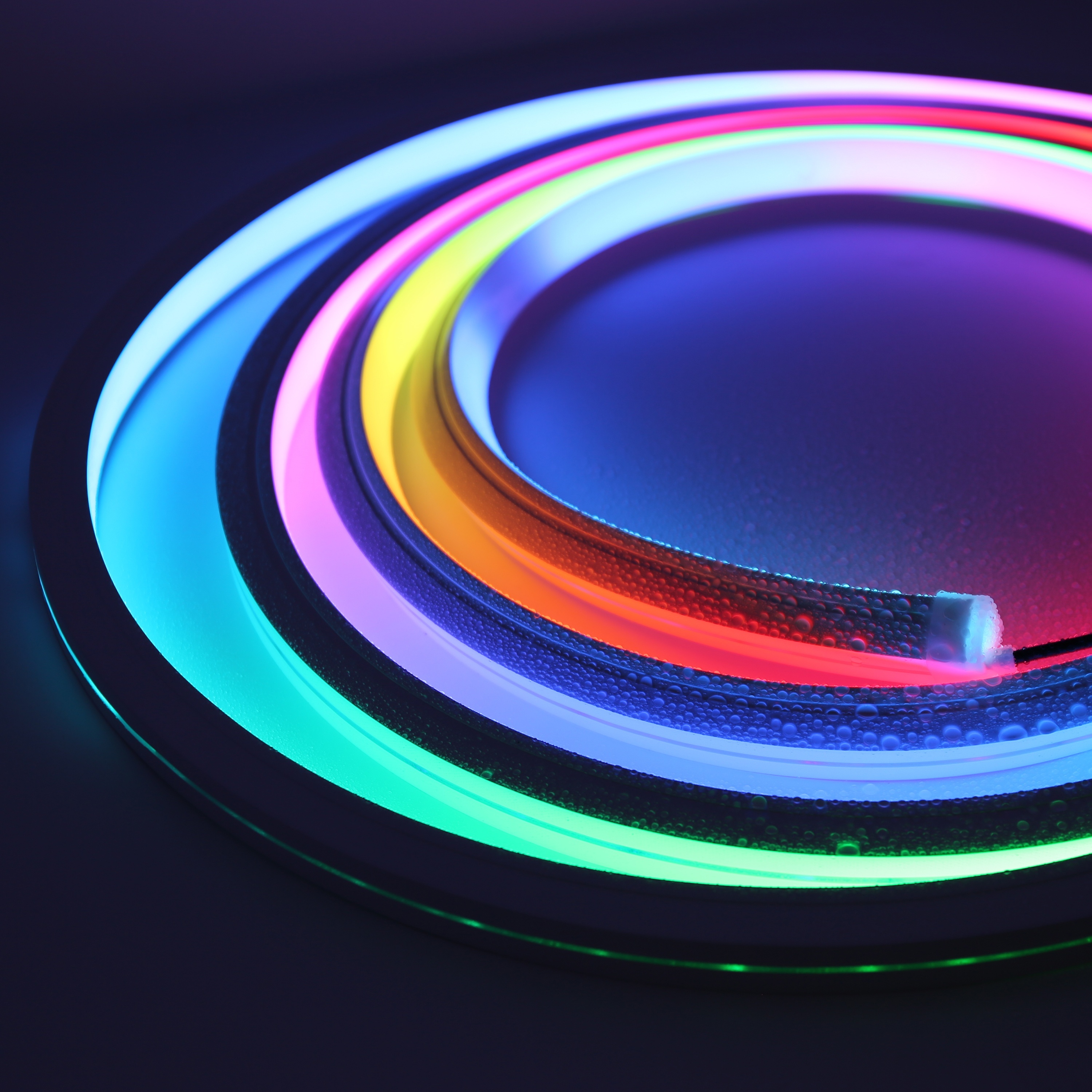 UL Top View Digital RGBW 2020mm Custom Neon Led IP67 10W Neon Flex Led Strip DC24V for Outdoor Colorful Flexible Neon Light