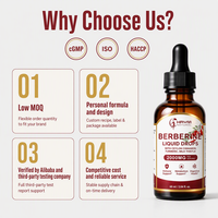 Gouttes liquides de berbérine OEM/ODM 2000mg avec cannelle de Ceylan, curcuma, chardon-Marie 60ml – Complément alimentaire à base de plantes
