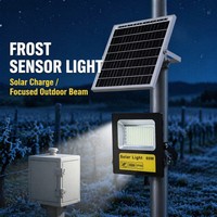 Lámpara de Seguridad Exterior Solar con Control Remoto a Prueba de Agua IP65 CRANE para Estaciones de Almacenamiento Comerciales