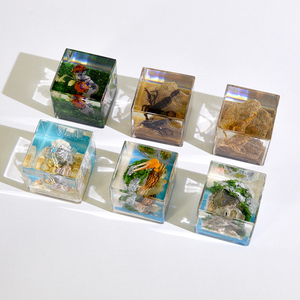 Cubo di Resina con Scorpione Dorato Vero, Insetto Conservato per Uso Educativo e Decorativo e Regalo per Amici - Product Image 4