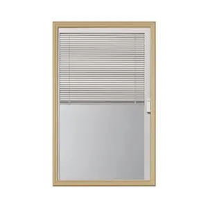 Electric window and door windows with built in blinds