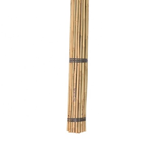 <span class=keywords><strong>Cannes</strong></span> en bambou diamètre 18/20mm x l 240cm, pour garde-arbres - Product Image 3