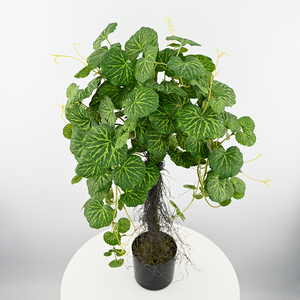 Árbol de manzana artificial de 68cm de altura, planta de bonsái en maceta falsa, <span class=keywords><strong>Malus</strong></span> <span class=keywords><strong>Spectabilis</strong></span> para decoración de interiores, vegetación colgante - Product Image 1