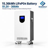 Batterie domestique 51,2 V 300 Ah 15,36 kWh LiFePO4 pour stockage d'énergie solaire avec BMS intelligent CAN RS485 – Produits de stockage d'énergie