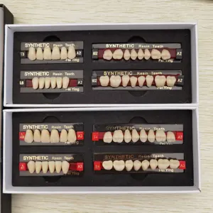 Ceiso批准的牙科人工牙齿复合牙科实验室用合成聚合物牙