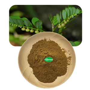 Chanca Piedra Extract powder/ pure natural Chanca Piedra p.e/10:1Chanca Piedra Extract