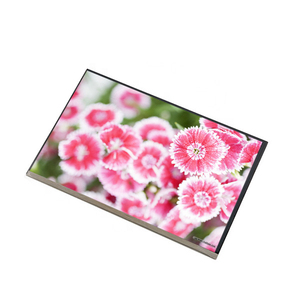 G101UAN01.0 Nueva Pantalla LCD Industrial Popular de 10.1 Pulgadas 1920*1200 - Product Image 1